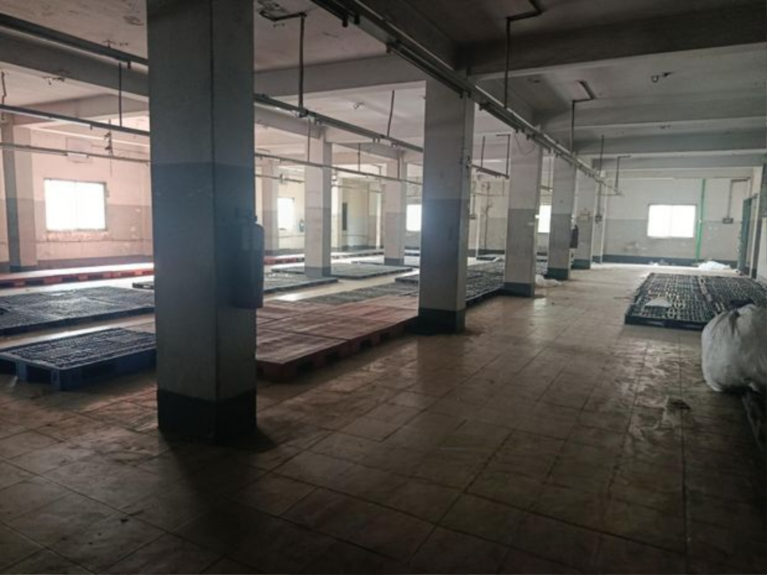 16000 Sqft 2 Stories Building Rent For Garments / Office Gowdown