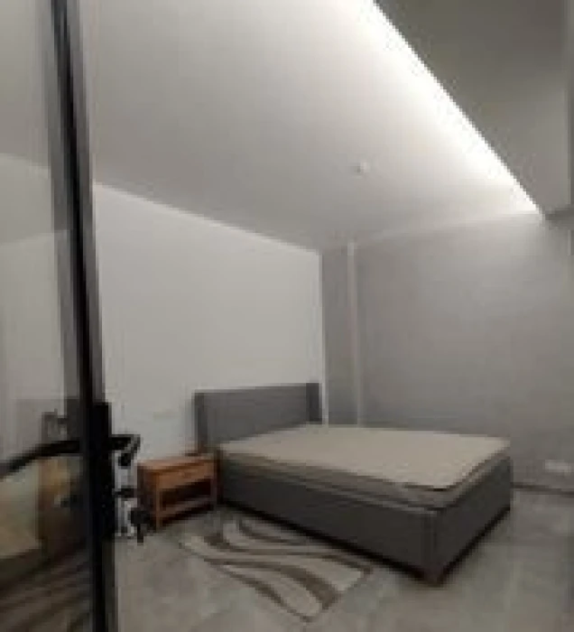 Swmming Pool Gym Ground Floor Full Farnised Flat Rent Gulshan 2