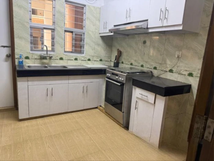 Furnished with luxury furniture apartment for rent in Gulshan north
