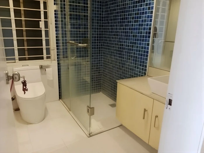 lake view 4 Bed room apt rent in Gulshan 2 North side