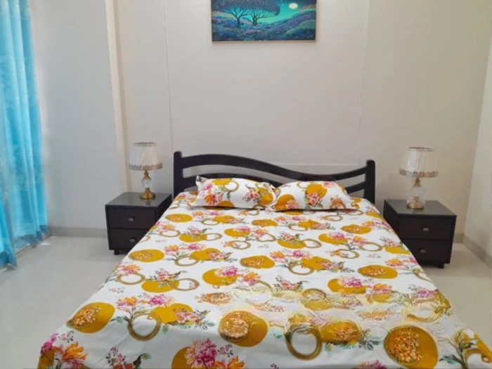 Nice fully Furnished apartment for rent
