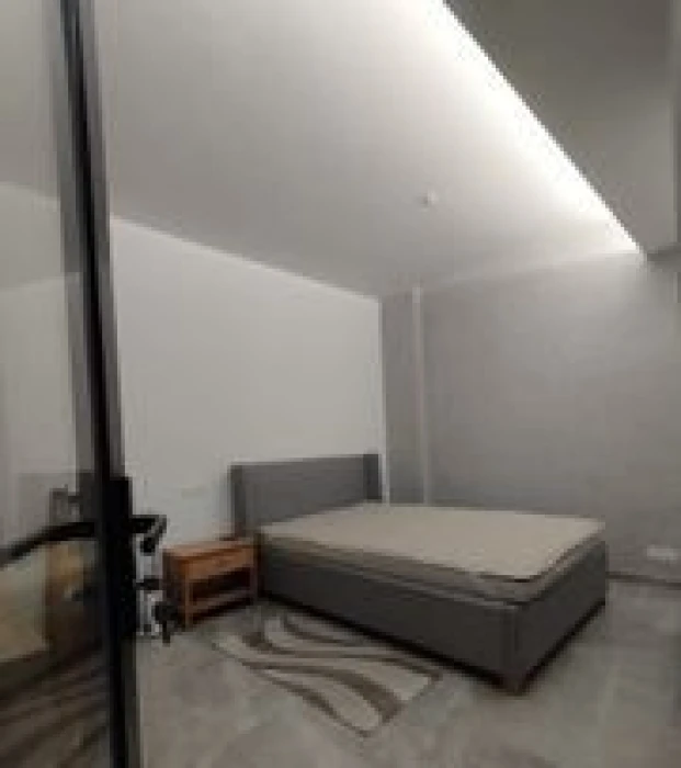 Swmming Pool Gym Ground Floor Full Farnised Flat Rent Gulshan 2