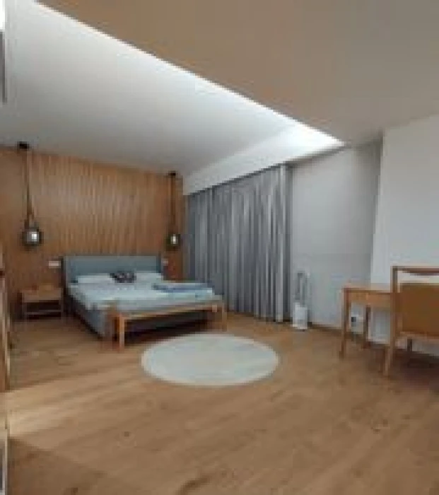 Swmming Pool Gym Ground Floor Full Farnised Flat Rent Gulshan 2