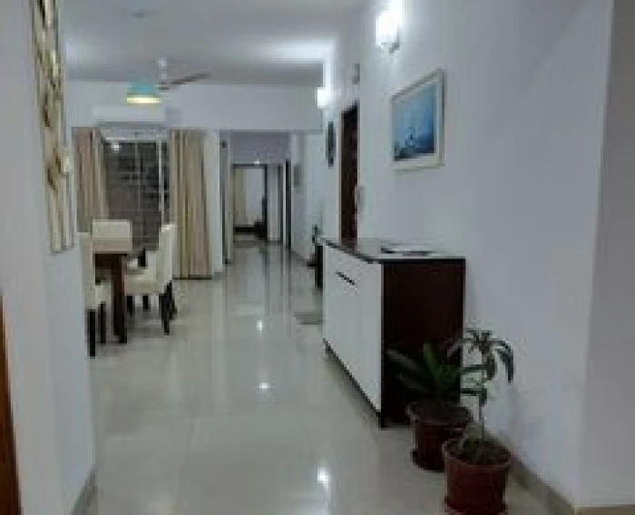 3200 sft 2nd floor Apartment rent in Gulshan
