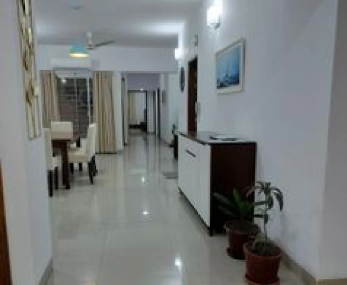 Luxurious Full Farnised Flat Rent In Gulshan North