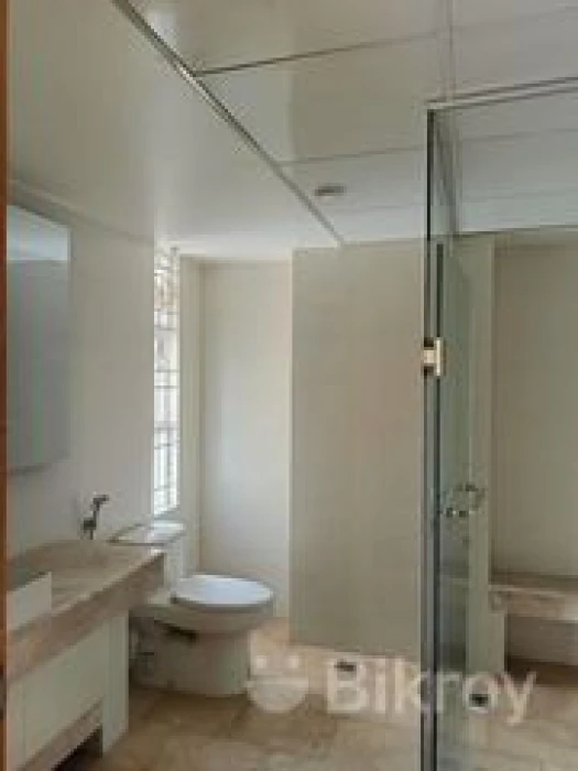Find Your Desired Apartment At This 3700 Sq Ft Ready Flat Gulshan