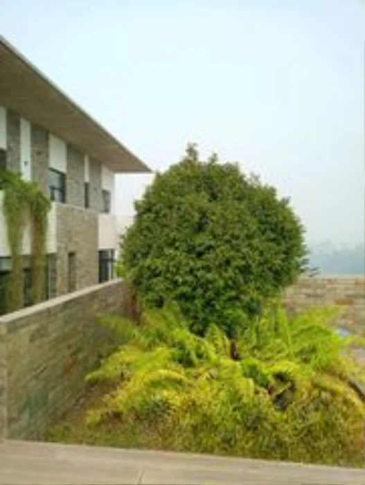 Lake view stunning semi furnished apartment for rent in north Gulshan