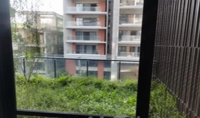 Swmming Pool Gym 5100 Sft Flat Rent At Gulshan North